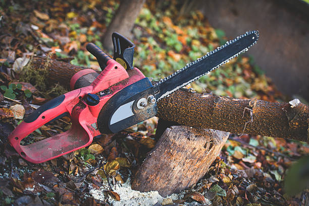 Best Stump Grinding and Removal  in Milford, NE